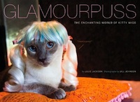 Glamourpuss: The Enchanting World of Kitty Wigs