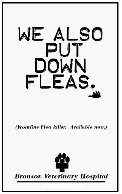 Flea! Flea for your lives!